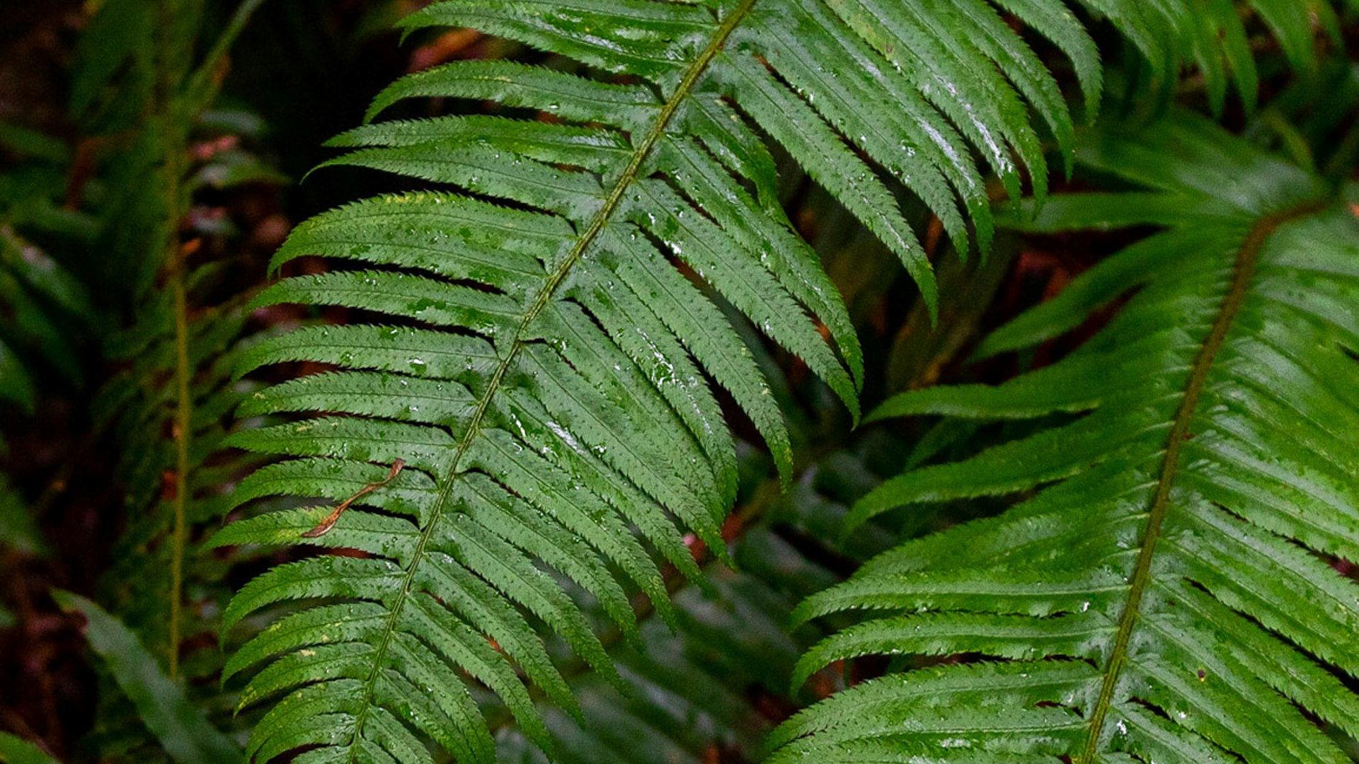 Modern construction site representing our vision